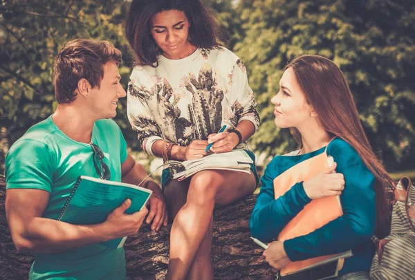 Grupp multi etniska studenter i en park — Stockfoto