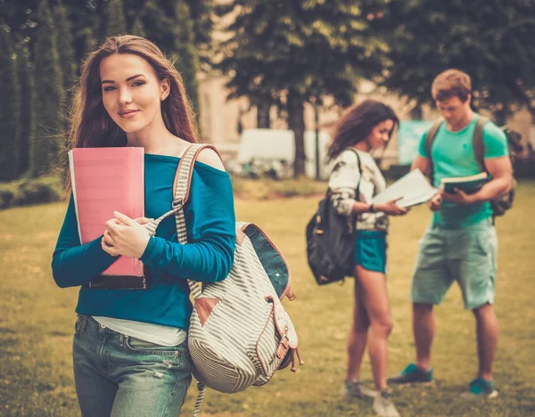 Jovem estudante bonita em um parque da cidade no dia de verão — Fotografia de Stock