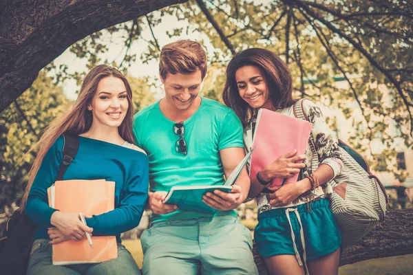 Groep van multi-etnische studenten in een stadspark — Stockfoto