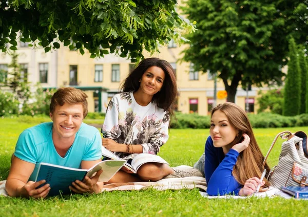 Grupo de estudantes multi étnicos em um parque da cidade — Fotografia de Stock