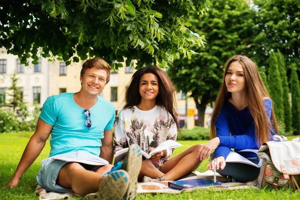 Grupy etniczne studentów multi w parku — Zdjęcie stockowe