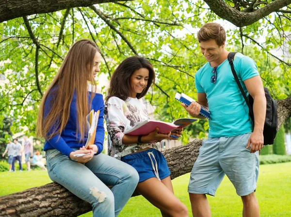 Gruppo di studenti multietnici in un parco cittadino — Foto Stock