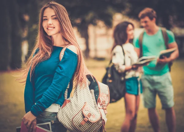 Schöne junge Studentin in einem Stadtpark an einem Sommertag — Stockfoto