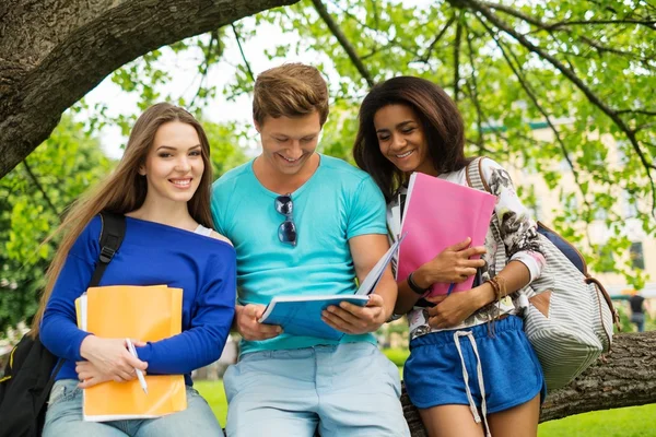 Gruppo di studenti multietnici in un parco cittadino — Foto Stock