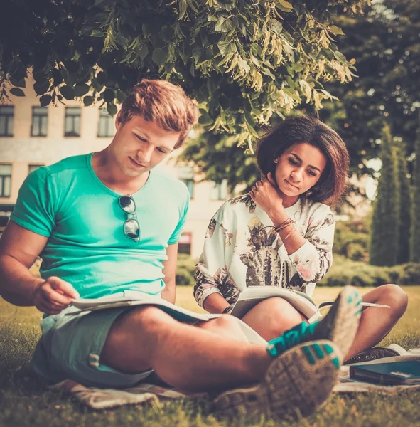 Pareja de estudiantes multiétnicos preparándose para los exámenes finales en un parque de la ciudad —  Fotos de Stock