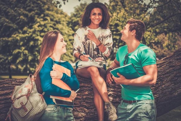 Group of multi ethnic students in a city park — Stock Photo, Image