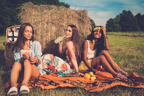 Multi-étnica niñas teniendo picnic cerca de pila en un campo — Foto de Stock