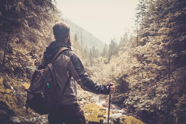 Man met hiking uitrusting — Stockfoto