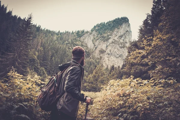 Чоловік ходить у гірському лісі — стокове фото
