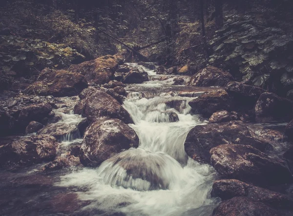 Snabb floden i bergskog — Stockfoto