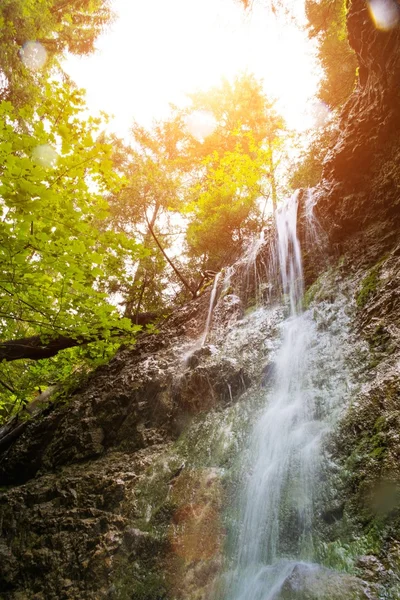 Şelale bir ormandaki slovak Paradise, Slovakya — Stok fotoğraf