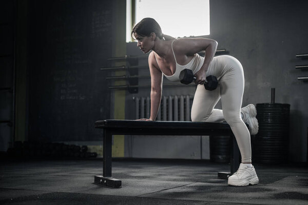 Female Lift Dumbbell For Arms Muscles . Stock Image