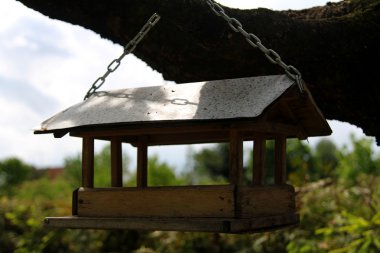 Loca - kuşlar için bir beslenme yalağı