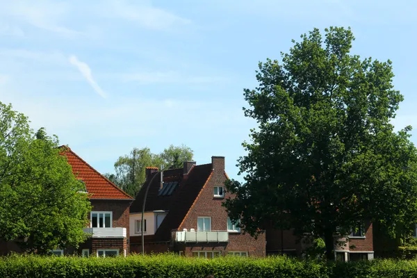 Bilden av husen i skogen — Stockfoto