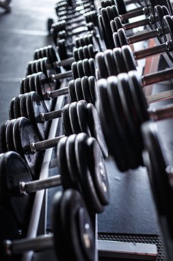 spor salonunda kaç ağır halter