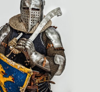 Aslan ile bir kalkan ile gurur knight