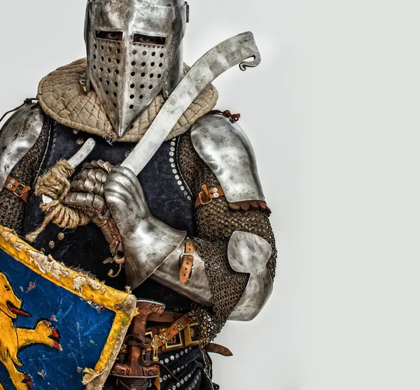 Proud knight with a shield with lion — Stock Photo, Image