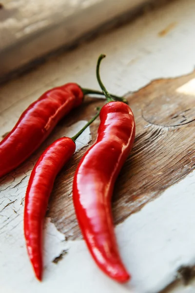 Chilli papričky na makro režim — Stock fotografie