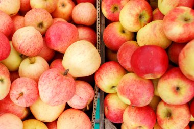 sağlıklı taze organik Kırmızı elma sandıkları