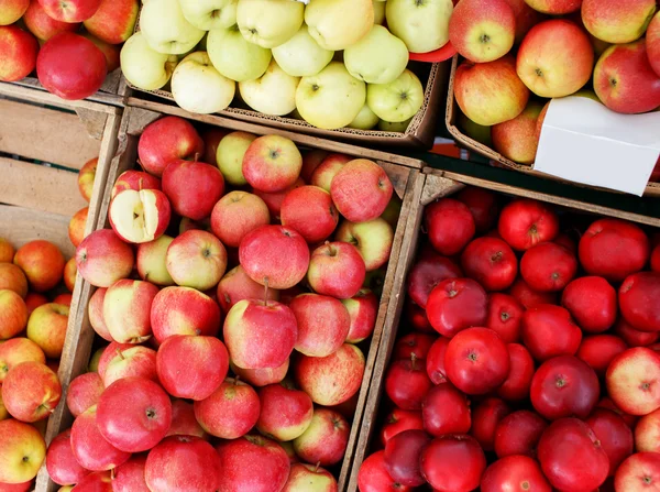 Un montón de cajas con manzanas de colores — Foto de Stock