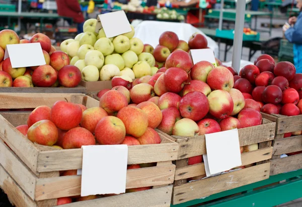 Kisten met smakelijke appels op de markt — Stockfoto