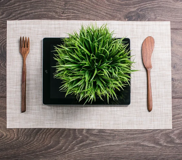 Hierba que crece de una tableta en la mesa — Foto de Stock