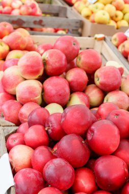 bir sürü ahşap kasalar içinde kırmızı elmalar