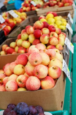 karton kutu içinde kırmızı ve sarı elmalar