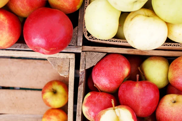 Cuatro cestas de manzanas rurales — Foto de Stock