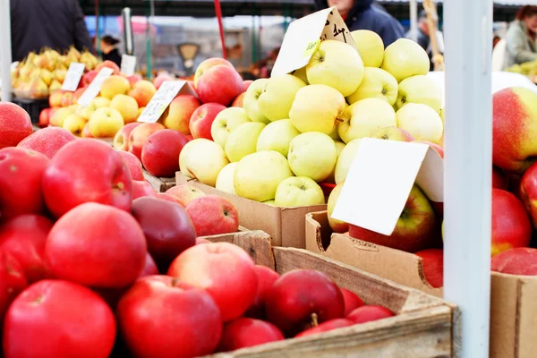 Market apples in wooden and cardboard crates — Stock Photo, Image