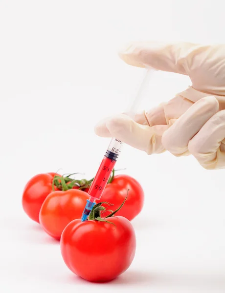 Hacer una inyección roja en un tomate —  Fotos de Stock