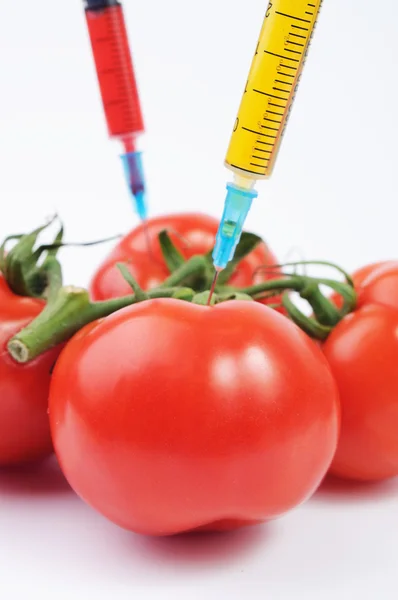 Dos jeringas inyectando colores en los tomates — Foto de Stock