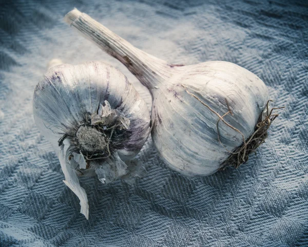 Twee garlics op een grunge linnen stof — Stockfoto