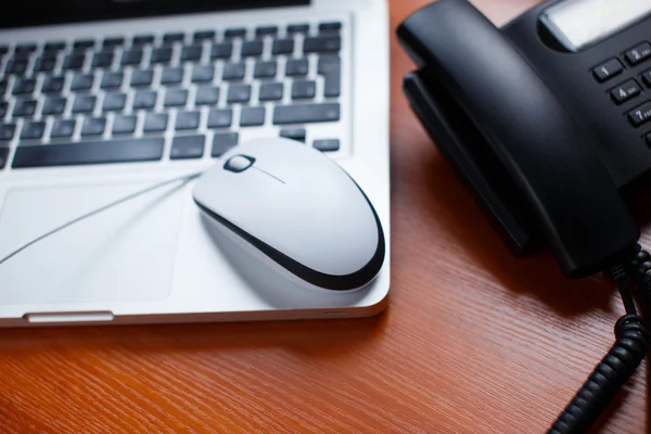 Computer mouse — Stock Photo, Image