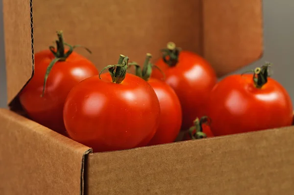 Rode tomaten — Stockfoto