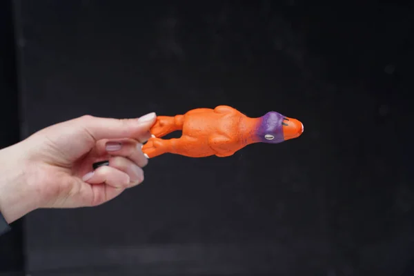 Female hand holding goose toy against dark background — Stock Photo, Image