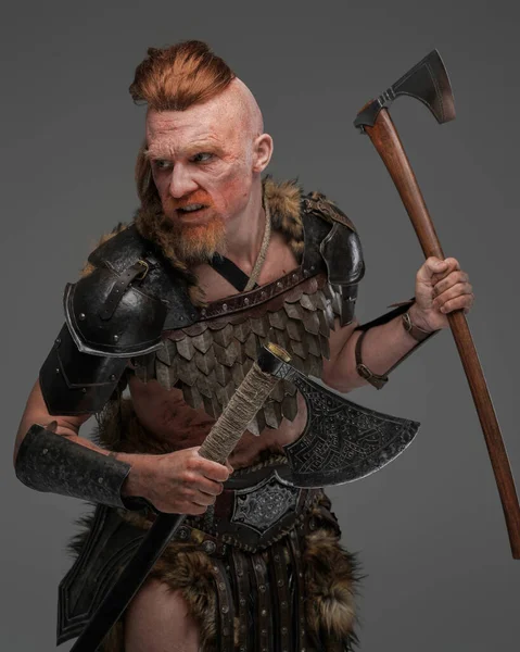 Combative viking with dual axes isolated on gray — Stock Photo, Image