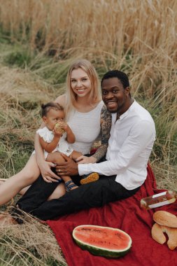 Kaygısız karışık ırk ailesi güneşli bir günde dışarıda piknik yapıyor.