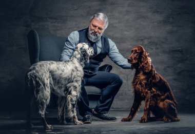 Safkan köpekleriyle koltukta oturan yaşlı bir adam.