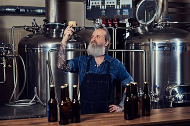 Dövmeli yaşlı adam çelik fıçıların etrafında birayla bardağa bakıyor.