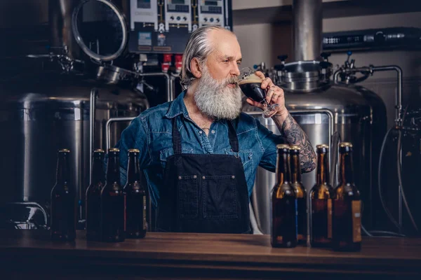 Homem idoso com avental degustação de cerveja na cervejaria moderna — Fotografia de Stock