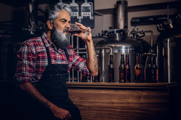 Homem velho com avental degustação de cerveja na cervejaria moderna — Fotografia de Stock