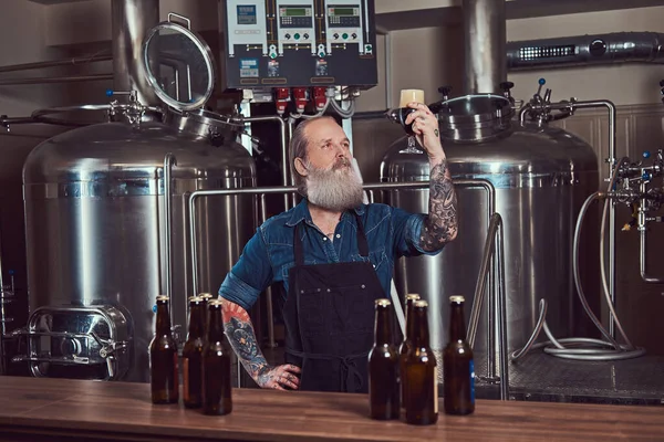 Getatoeëerde oude man kijkend naar glas met bier rond stalen vaten — Stockfoto