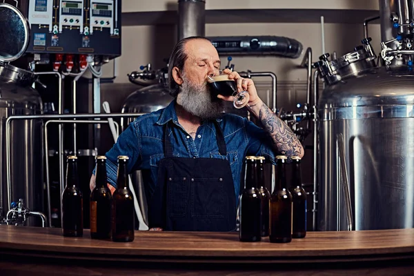 Літній чоловік з фартухом дегустація пива в сучасній пивоварні — стокове фото