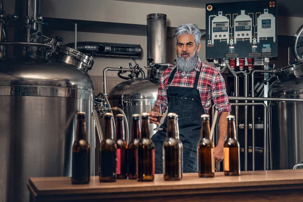 Bira fabrikasında bira içen büyükbaba bira üreticisi. — Stok fotoğraf