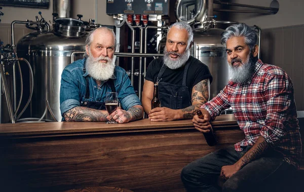 Tres cervecería de edad avanzada bebiendo cerveza en la fábrica de cerveza moderna — Foto de Stock