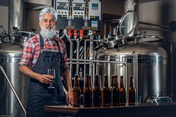 Cervejeiro velho posando na cervejaria em torno da mesa há garrafas de cerveja — Fotografia de Stock