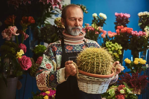 Постріл Сучасного Квіткового Магазину Різними Колекціями Квітів Літніх Флористів Кактусом — стокове фото