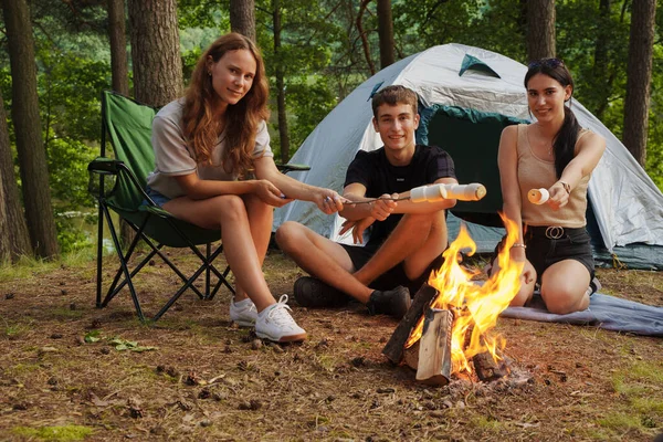 Shot Friends Tourists Camping Forest Toasting Marshmallows Daytime — Stock Photo, Image