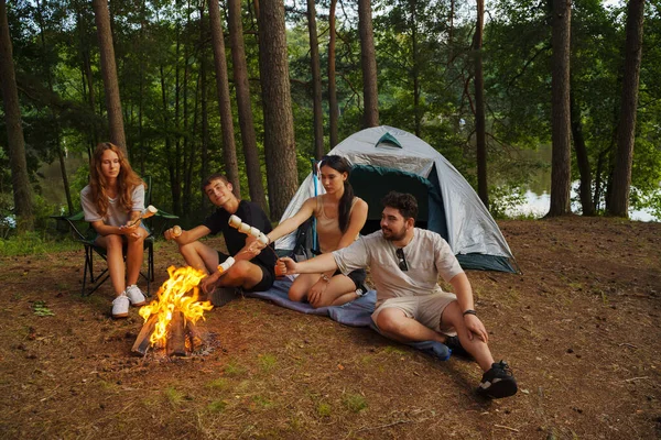 Phootografia Amici Escursionisti Con Tenda Marshmallow Rilassarsi Insieme Nel Viaggio — Foto Stock